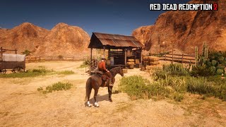 The Best Unlimited Gold Glitch in the Entire Game  Red Dead Redemption 2 [upl. by Knoll]