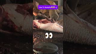 How To Butterfly 😨🔪 fishcuting fishcuttingskills fishcuttingskill fish shorts shortfeed [upl. by Nil775]