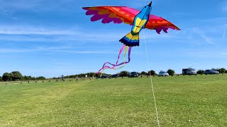 Phoenix at Dunstable Downs [upl. by Nadnarb48]