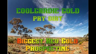 COOLGARDIE GOLD [upl. by Nediarb]