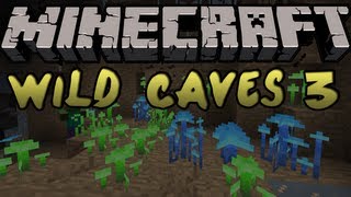 Minecraft Mods  WILD CAVES 3 MOD GLOWSHROOMS amp STALAGMITES 145 [upl. by Jamima861]