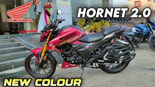 2024 Honda Hornet 20 new Colour and Specification [upl. by Onailimixam]