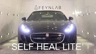 FEYNLAB Self Heal Lite Application  Detailing the Jaguar F Type [upl. by Zennie]