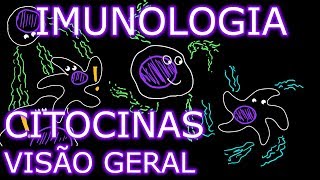 Aula Imunologia  Citocinas 13  Visão Geral  Imunologia 9 [upl. by Petrine]