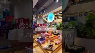 Diwali Vibes at Elan Miracle Mall Gurgaon ExplorewithSonal youtubeshorts shorts [upl. by Acissey]