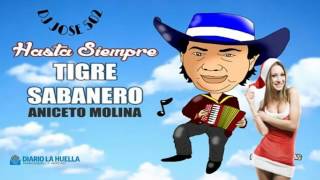 Aniceto Molina Mix 2017 Cumbias De Mi Pueblo [upl. by Durtschi]