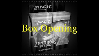 MTG Zendikar Rising Collector Booster Box Opening [upl. by Fredie]