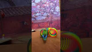 Bird Training  Smart lovebird Parrot  Smart Little Cute Parrot ❤️ training smartparrot cute [upl. by Marsha]