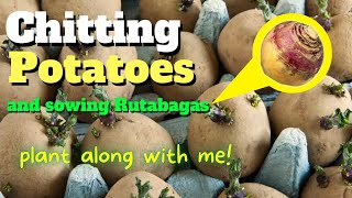 Speed Chitting Potatoes amp Sowing Rutabagas from Seed  Zone 7a [upl. by Anilatak]