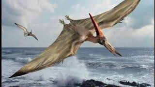 10 CURIOSIDADES sobre o PTERANODONTE  Guia do Paleontólogo 🦖 [upl. by Rusell754]