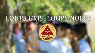 Loups gris loups noirs  Chant Scout [upl. by Rintoul]