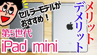 iPad mini 第5世代は断然セルラーモデルがオススメ！WiFiモデルとの違いやメリット・デメリットをわかりやすく解説！ [upl. by Tertia]