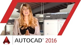 New System Variable Monitor AUTOCAD TIPS amp TRICKS Ep6 by Lynn Allen  AutoCAD [upl. by Goodhen88]