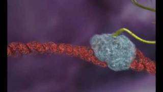 DNA transcription Animation by Interact Medical [upl. by Ahasuerus]