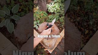 Neue Messer NIGRUM amp TELUM 🔪 [upl. by Giorgia]