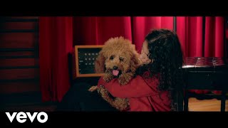 Alessia Cara  The Use In Trying Lyric Video [upl. by Ettenoitna]