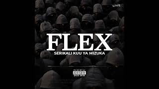 Serikali Kuu ya Mizuka  FLEX Official Audio [upl. by Lokkin268]