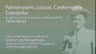 Palmerworm Locust Cankerworm Caterpillar William Branham 590823 [upl. by Eetnod]