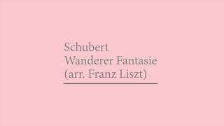 Schubert Wanderer Fantasie arr Franz Liszt Alfred Brendel1959 [upl. by Maryrose266]