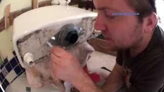 How to Change a Toilet Flush or Syphon Unit  Plumbing Tips [upl. by Woodhouse455]