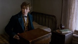 Fantastic Beasts 4 Release date amp Everything We Know [upl. by Melonie]