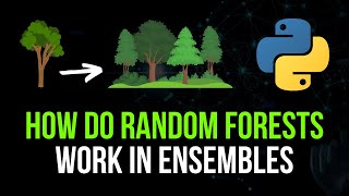 How Do Random Forests Work amp What is Ensemble Learning [upl. by Popele]