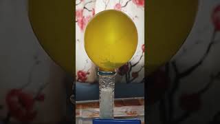 Baking soda and Vinegar Balloon experiment  Happy Science day 2023 shorts scienceday [upl. by Arria]