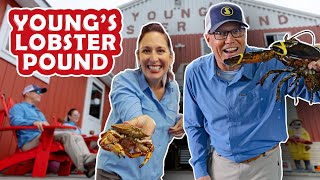 🔥 Unearthing Maines Finest Lobster Feast At Youngs Lobster Pound 🦞 [upl. by Sakmar421]