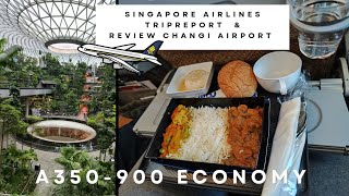 Singapore Airlines A350 Economy Class 5⭐ Airline Tripreport amp Changi Airport SIN  FRA Flugbericht [upl. by Ayotna]