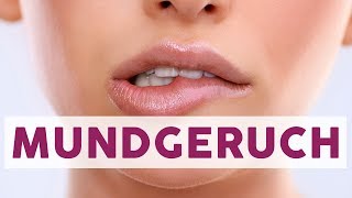 Tipps gegen Mundgeruch  BESSER LEBEN [upl. by Jacie]