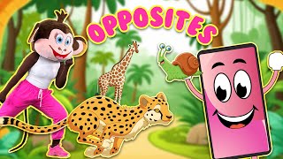 Opposites Song  Kids Songs amp Nursery Rhymes  Learn with Nessas Playhouse [upl. by Tammi]