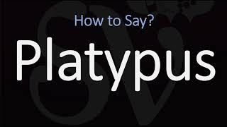 How to Pronounce Platypus CORRECTLY [upl. by Ztnahc]