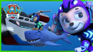 Aqua Pups and Sea Creatures team up to save the Whale Patroller  PAW Patrol  Cartoons for Kids [upl. by Arihday]