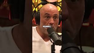 Joe Rogan Reacts to Donald Trump Defending George Washington [upl. by Eniamert]