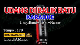 UDANG DI BALIK BATU KARAOKE Ungu Band Lesti Nassar  DANGDUT [upl. by Thetisa]