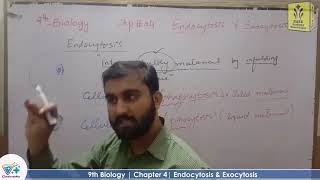 Endocytosis And Exocytosis [upl. by Paul]