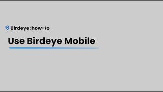 How to use Birdeye Mobile App [upl. by Eveivaneg734]