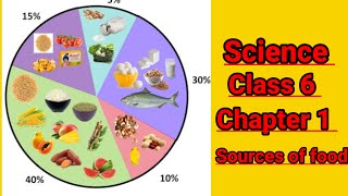 Science Sources of food Complete Chapter Easy Explanationclass6 science help us to grow [upl. by Ertha]