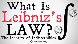 What is Leibnizs Law The Identity of Indiscernibles [upl. by Ordisi]