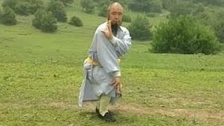 Shaolin Kung Fu Combat Styles 5 7star form 七星拳 qixing quan [upl. by Amoreta]