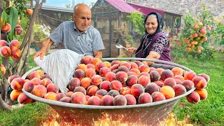 Organic Peach Harvest Making Lots of Peach Butter and Natural Juice [upl. by Netsirk]