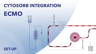 CytoSorb ECMO Integration  English  Animation [upl. by Yngad]