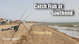 Catch Fish at Southend THORPE BAY [upl. by Nahgeem]