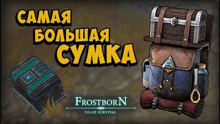 НОВАЯ СУМКА ИМБА 🎒 🎒 🎒  Frostborn Coop Survival [upl. by Rodl158]