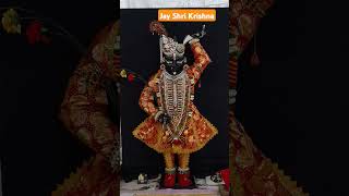 Jay Shri Krishna Radhe Radhe ❣️🙏🏻🥰 cute Krishna Ji pyari radhe rani pyare bhakt Janobrajdarshan 🕉️ [upl. by Ahsenat68]