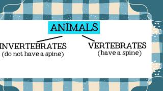 Vertebrates and Invertebrates  2nd PRIM [upl. by Enawtna669]