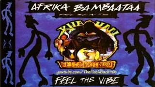 Afrika Bambaataa  Feel The Vibe Extended Mix [upl. by Annora]