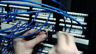 Learn to Terminate a Cat6 panel [upl. by Lorilyn793]