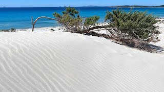 Le dune di sabbia bianca  spiaggia di Is Arenas Biancas Teulada  Sardegna [upl. by Trueblood]