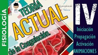 TEORÍA ACTUAL DE LA COAGULACIÓN VIA NUEVA DE LA HEMOSTASIA FIBRINOLISIS FISIOLOGÍA SanguineaP4 [upl. by Carr222]